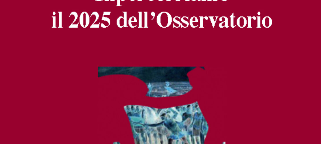 Ripercorriamo il 2025 dell’Osservatorio